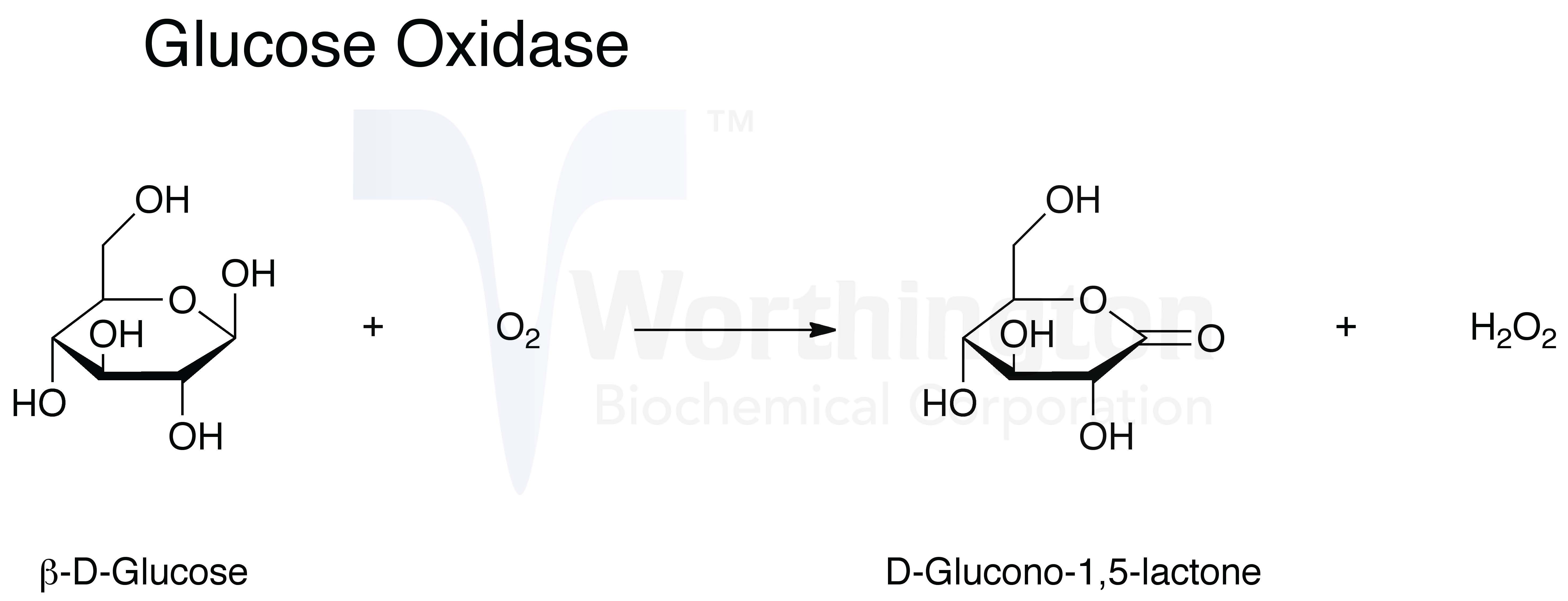 Glucose Oxidation Rate Formula