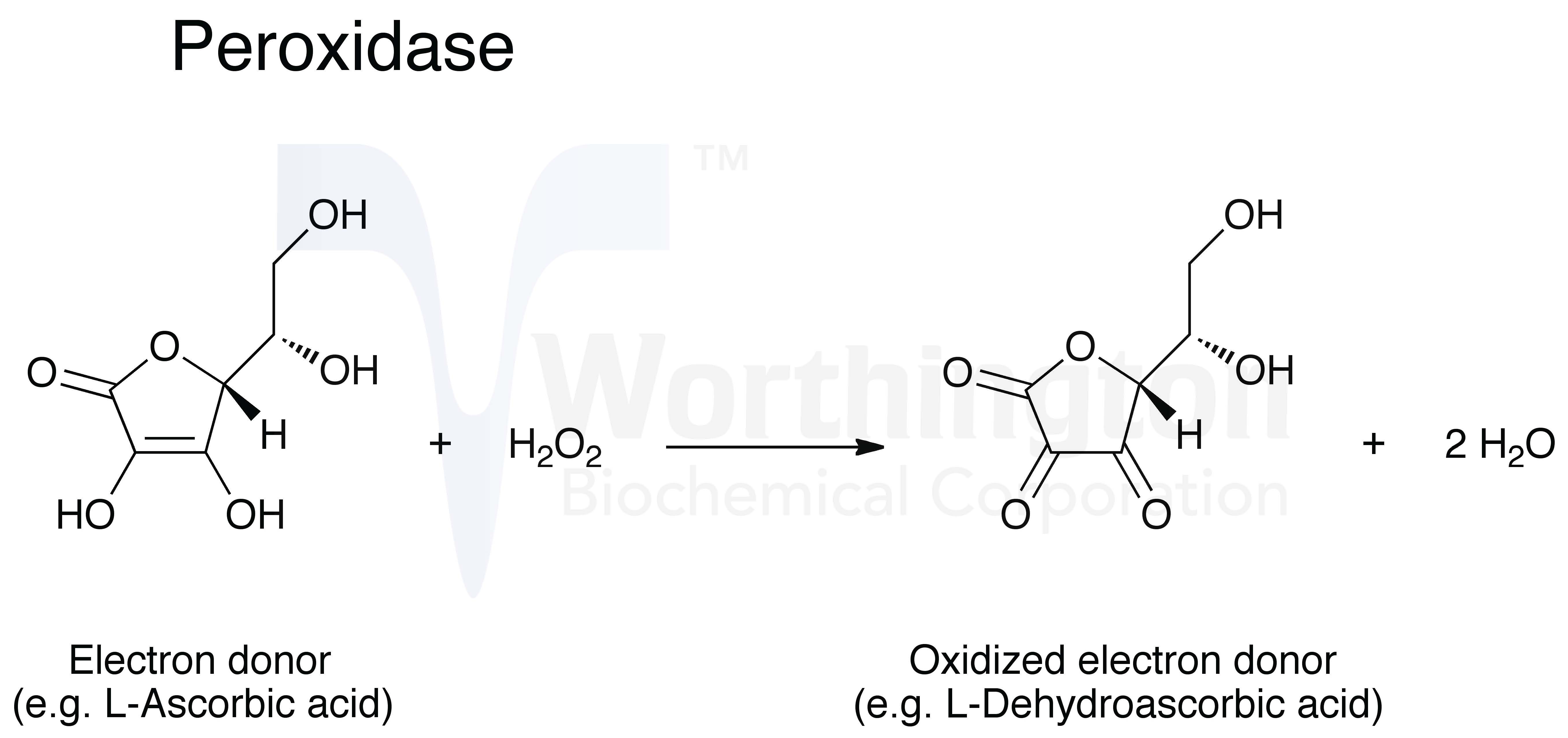 Peroxidase Reaction With Hydrogen Peroxide Peroxidase Reaction With Hydrogen Peroxide